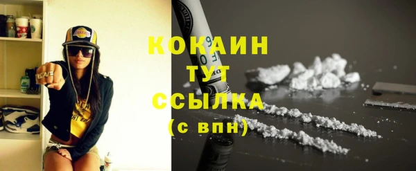 сатива Нягань